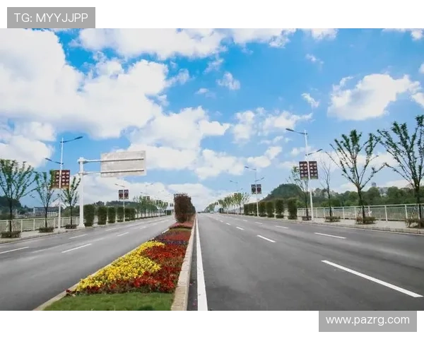 凯发电游：详细的游戏规则介绍，帮助新手快速上手享受游戏乐趣