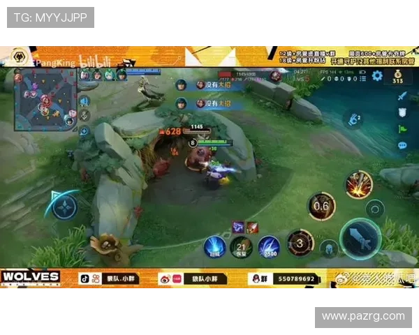 官方认证ag电游厅官网入口，全天候在线支持保障安全